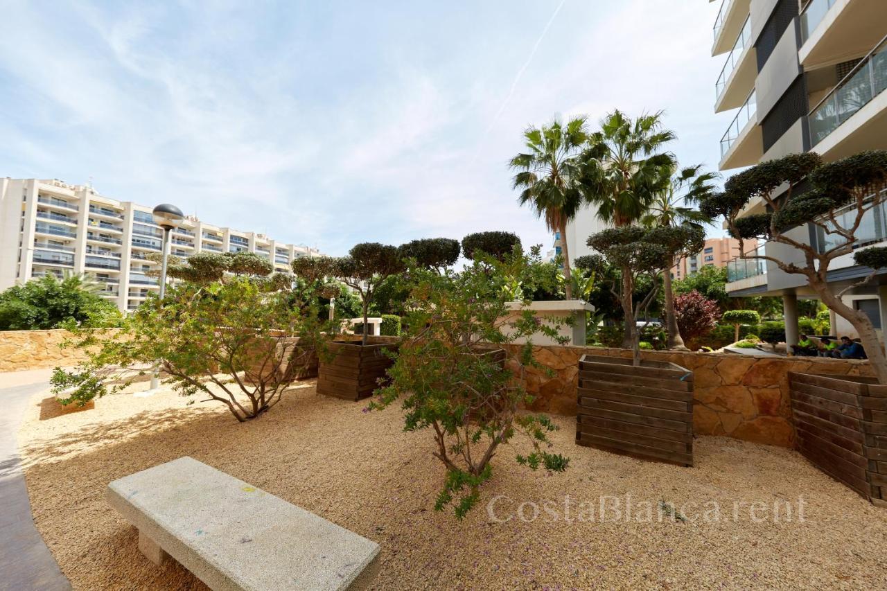 Luxurious, Newly-Renovated Large 2-Bedroom Condo By The Beach Benidorm Exteriör bild